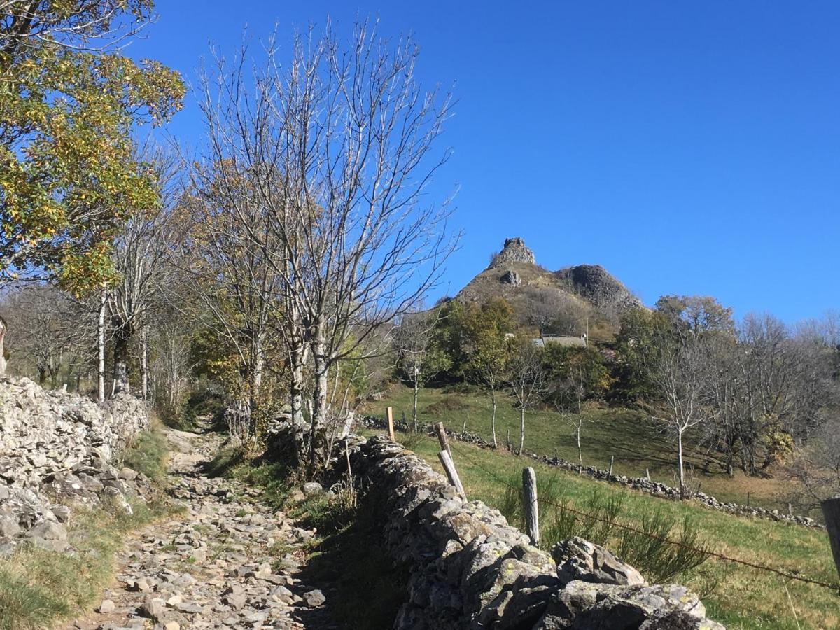 Chambres D'Hotes Le Lepadou-Bas Saint-Chely-d'Aubrac Luaran gambar